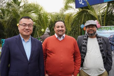 ƽ����pinnacle(�й�����)�ٷ���վ