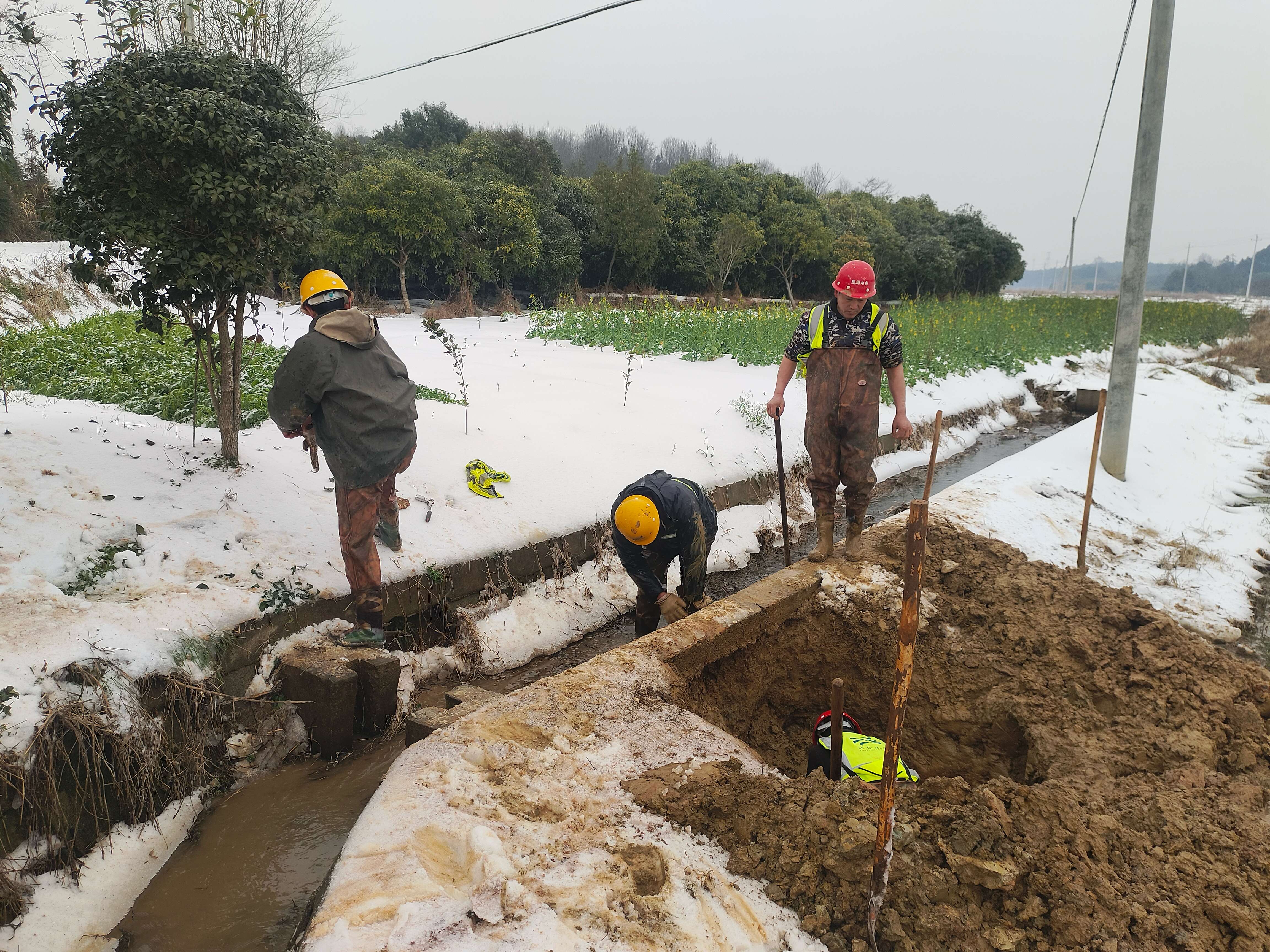 ƽ����pinnacle(�й�����)�ٷ���վ