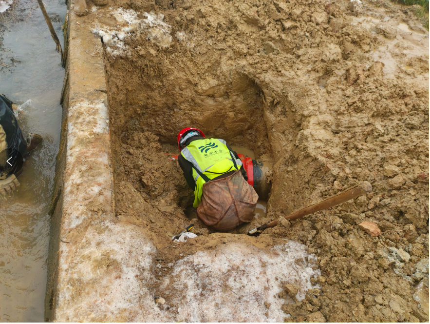 ƽ����pinnacle(�й�����)�ٷ���վ