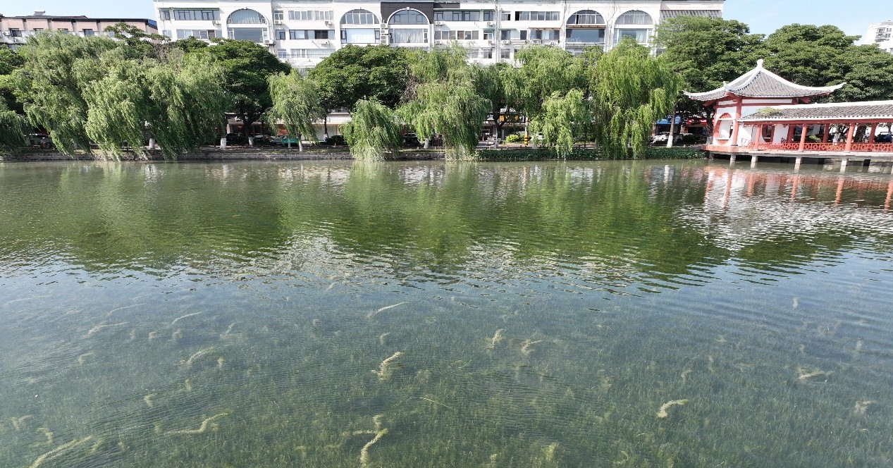 ƽ����pinnacle(�й�����)�ٷ���վ