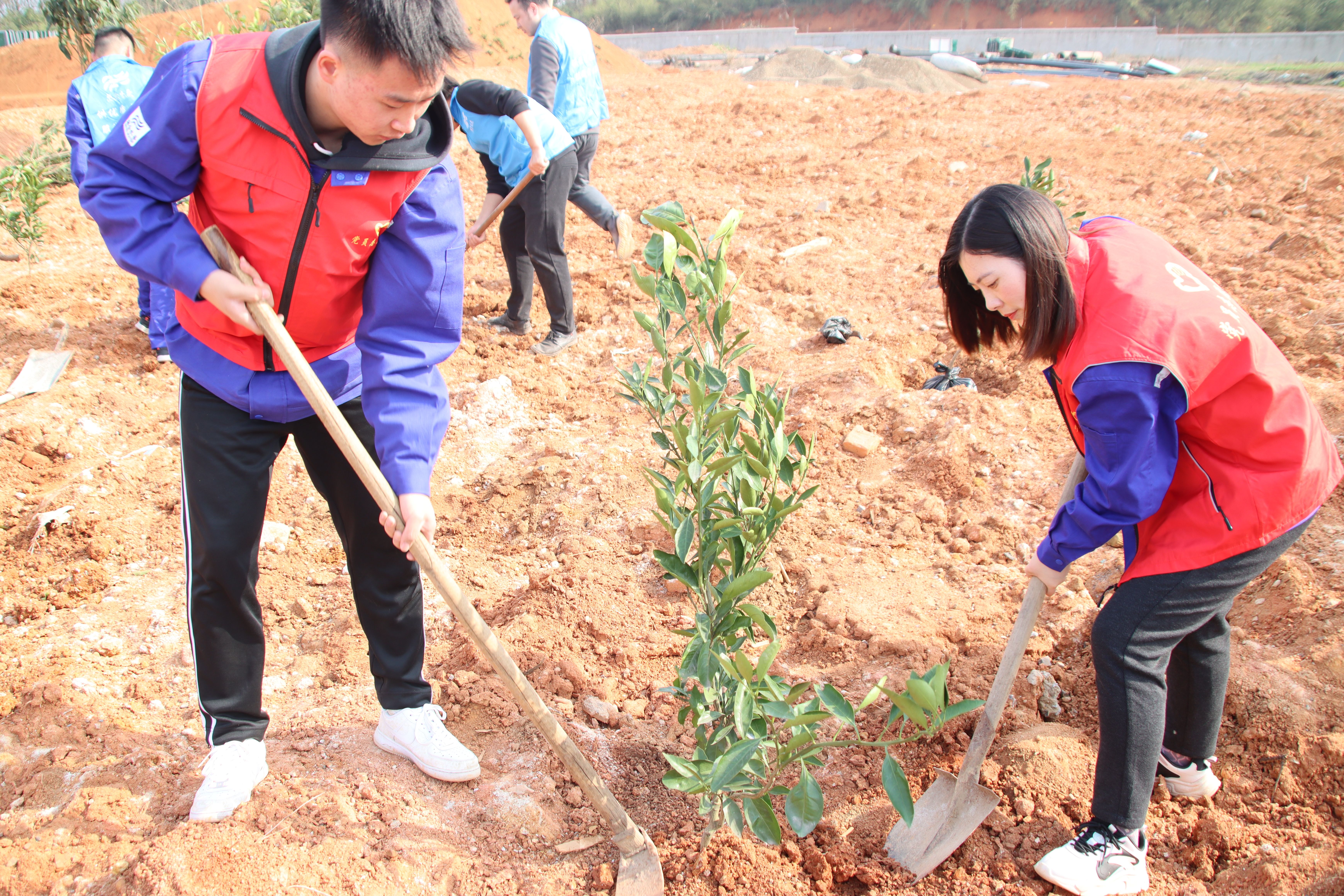 ƽ����pinnacle(�й�����)�ٷ���վ