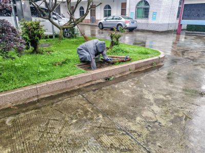 ƽ����pinnacle(�й�����)�ٷ���վ