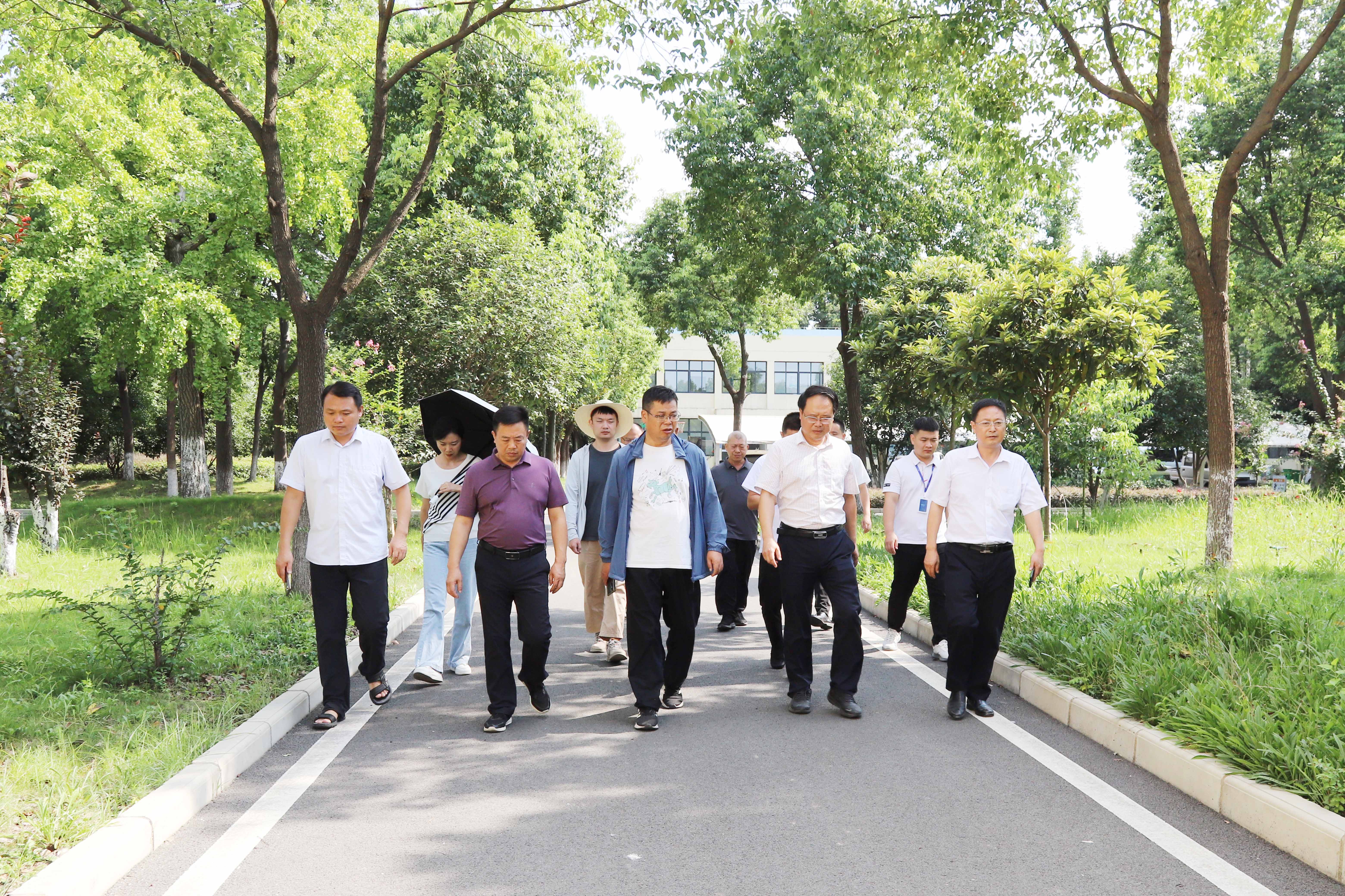 ƽ����pinnacle(�й�����)�ٷ���վ