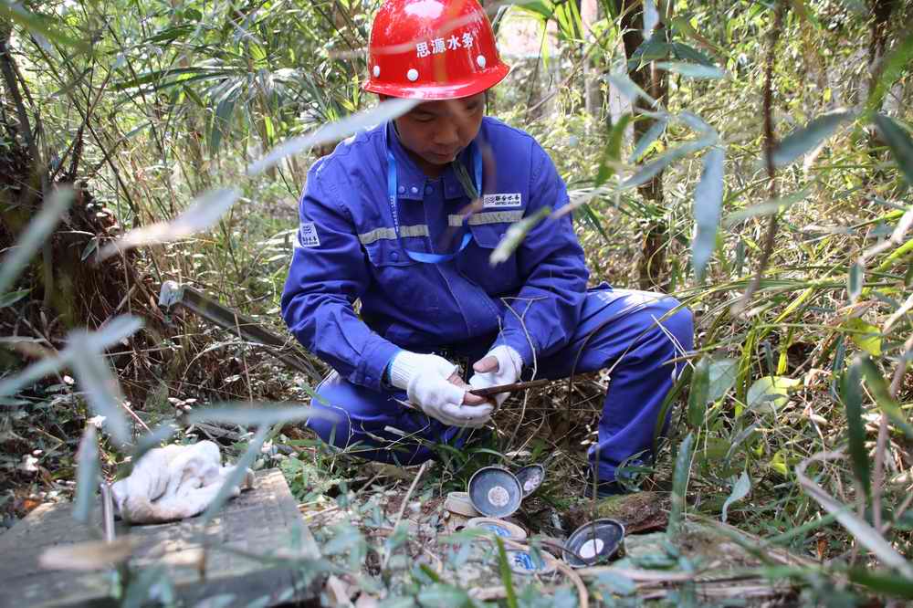 ƽ����pinnacle(�й�����)�ٷ���վ